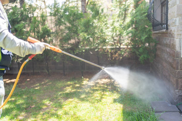 Seasonal Pest Control in Sanborn, IA